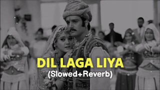 Dil Laga Liya Slowed + Reverb