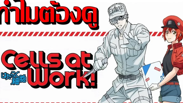 ทำไมต้องดูเซลล์ ขยันพันธุ์เดือด(อนิเมะ รีวิว Anime Review)