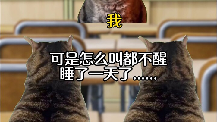 睡在巨人的肩膀上