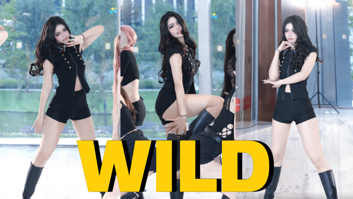 Another nine-legged legend from the second generation! The real 170cm model group – Nine Muses’ WILD
