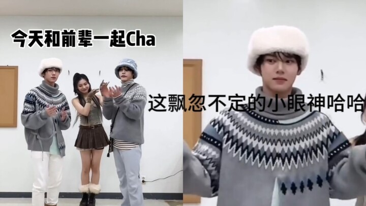 【ZB1韩维辰】哈哈哈救救韩维辰吧他快害羞死了，cha一下怎么这么羞feat.VIVIZ严智.金地雄