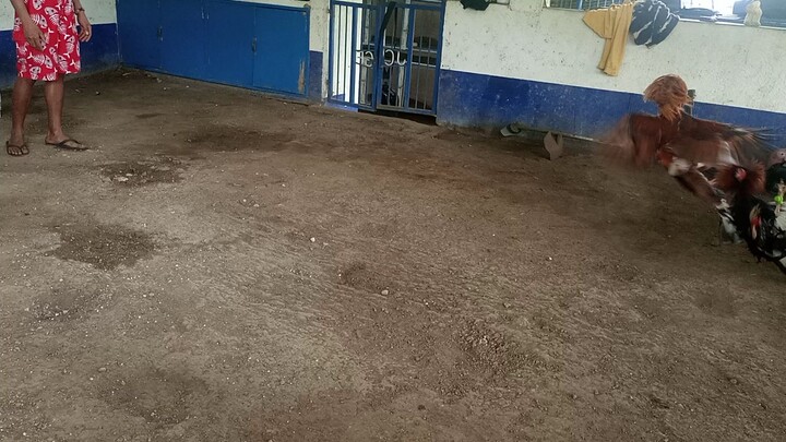 spar