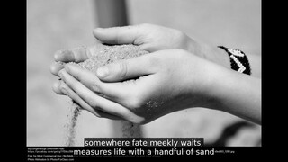 Withered flower (English subtitles)