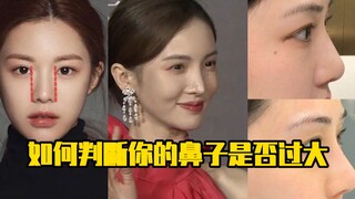如何判断你的鼻子是否过大