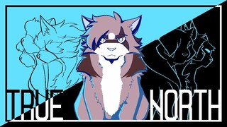 True North [Warrior Cats OC PMV]