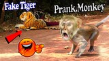 Fake Tiger Prank Monkey and Dog Very Funny With Scaring Reaction