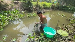 SÁNG SỚM CÓ MỒI - TT238