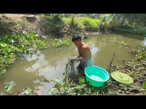 SÁNG SỚM CÓ MỒI - TT238