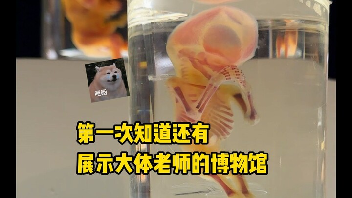 It’s actually a real anatomy donor—tears are streaming down my face!