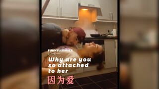 Người khác hỏi tôi tại sao lại yêu cô ấy đến vậy, tôi dùng phim hoạt hình để trả lời!