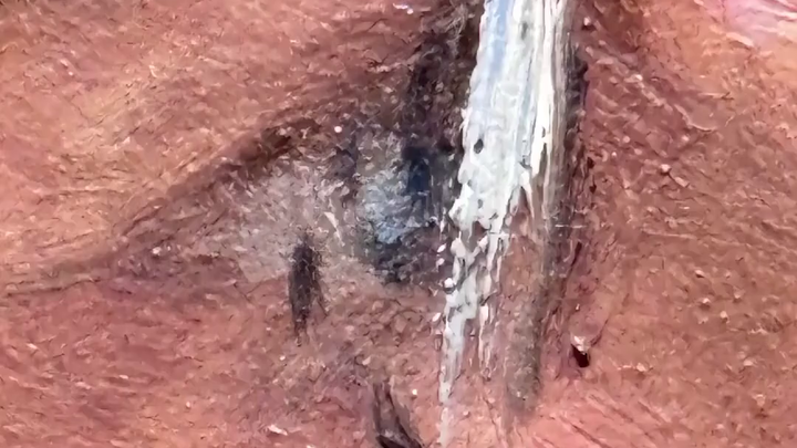 Bút pháp xuất thần của các nghệ sĩ: Lần đầu nhìn thấy ngỡ ngàng, nhìn kỹ lại kinh ngạc!