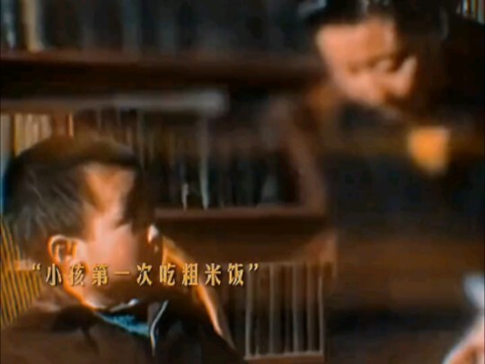“Why did Chairman Mao eat differently from us?”