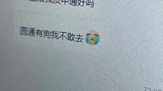 客服：两眼一睁就是干