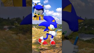 EVERYDAY SONIC LIFE ANIMATION 3