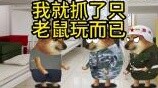 ฉันเพิ่งจับหนูมาเล่นด้วย