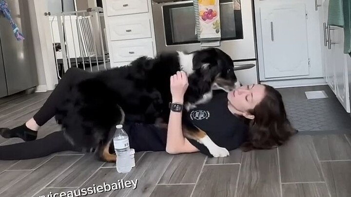 Đây chính là lý do tại sao thế giới không thể thiếu những chú cún con.