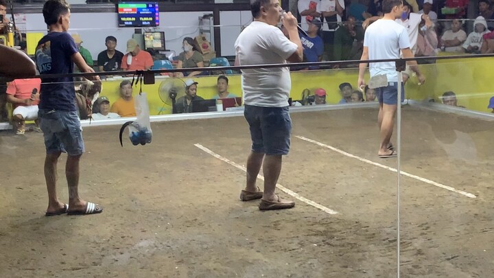 Aquiluc White ( Win )