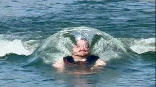 هل سبق لك أن رأيت بونبي با؟