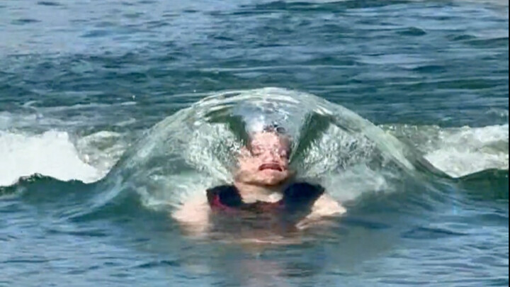 هل سبق لك أن رأيت بونبي با؟