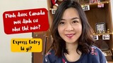 TỰ LẤY THẺ XANH ĐỊNH CƯ CANADA trong 1 năm, không cần bằng Master, không cần có việc làm tại Canada