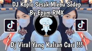 DJ RUTINITAS RADONG X KOPLO SESAK MLEBU SEDEP BY DJ EPAM RMX | DJ AKU WAE RA KOPLO VIRAL TIK TOK !