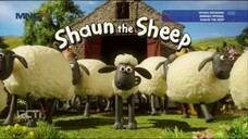 MNCTV HD • OPENING SONGS • SHAUN THE SHEEP • SABTU 5 JANUARI 2025