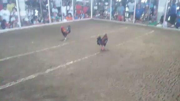 Yung ayaw mag paawat Ng swerte💪