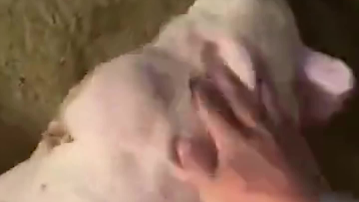 I woke up feeling sore all over.