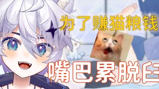 猫粮不好赚啊，嘴巴快累脱臼了