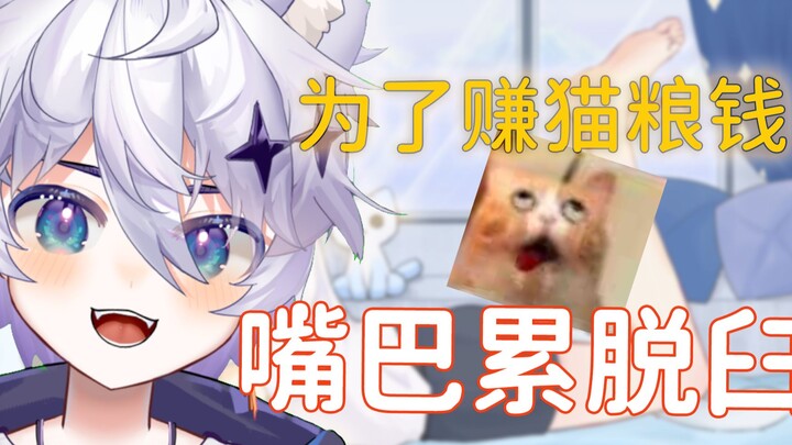 猫粮不好赚啊，嘴巴快累脱臼了