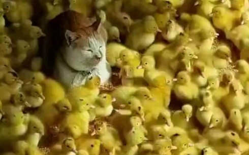 The lust for slaughter is surging...