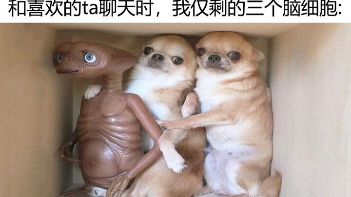 很好🐭游戏 使我人格分裂👥