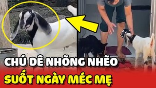 Chú Dê NHÕNG NHẼO suốt ngày MÉC MẸ khiến anh Sen ĐAU ĐẦU 😂 | Yêu Lu