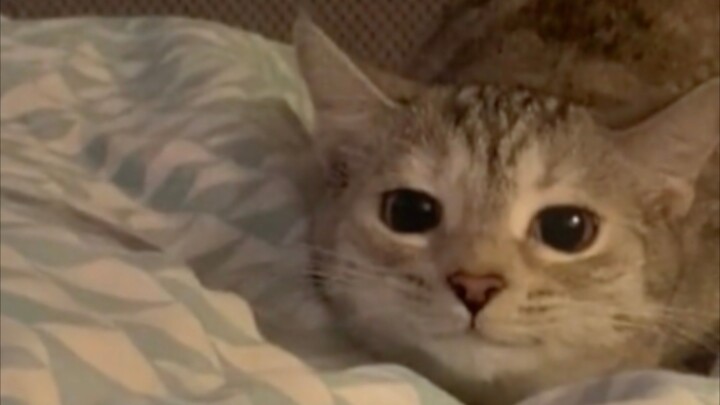 “Thank you for crashing into Minecraft and warming my heart.”