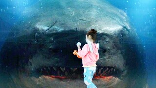 Scientists Exploring Mariana Trench Encounter The Largest Sea Predator The Megalodon