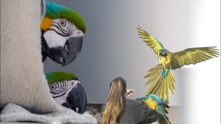 The Return Of The Nest + Fly Day! || Mikey &  Mia