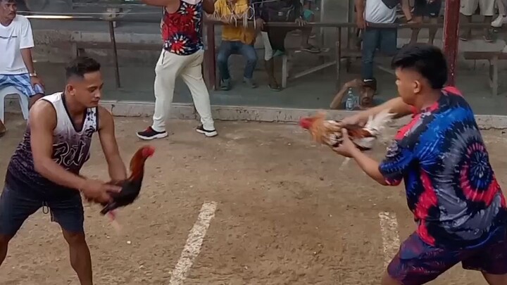 manok ni yoyo