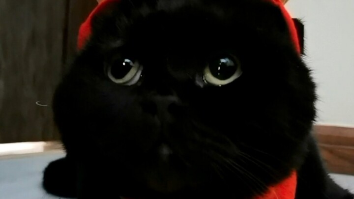 Hari paling bahagia di tahun 2020! Selamat Natal semuanya!