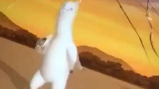 The alpaca in a certain app can dance to the music. Someone changed the music to English listening.