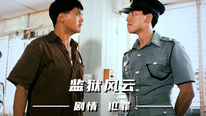 Đôi khi, ai trong chúng ta cũng chỉ là tân binh giữa thế giới đầy hổ báo này!