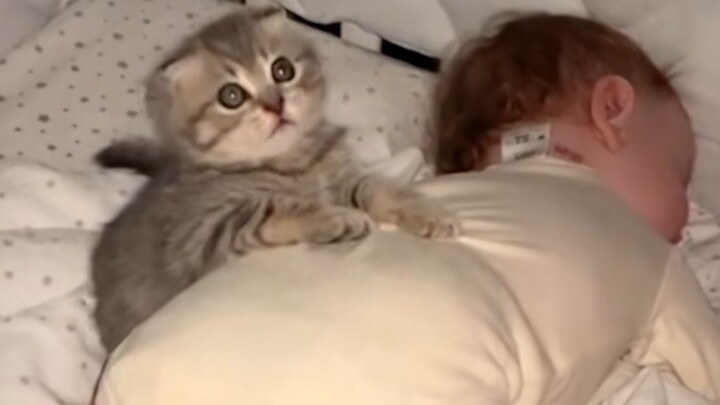 “This is probably why people love cats!”
