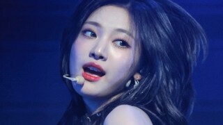 【Dành cho cá nhân】Xếp hạng mức độ yêu thích của tôi đối với Trác qua các thời kỳ