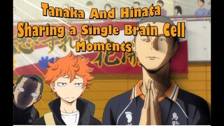 Haikyuu!! Hinata Shoyo and Tanaka Ryuunosuke Funny Moments [ Hinata as Tanaka's Disciple ]