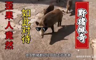 What do foreigners do when they encounter the⚡wild Peppa Pig⚡? It's so shocking that it sends a⚡chil