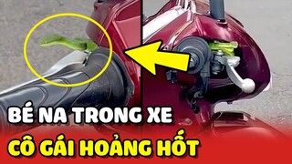 Cô gái HỐT HOẢNG vì thấy BÉ NA trong xe máy thuê tại Đà Lạt 😂 | Yêu Lu