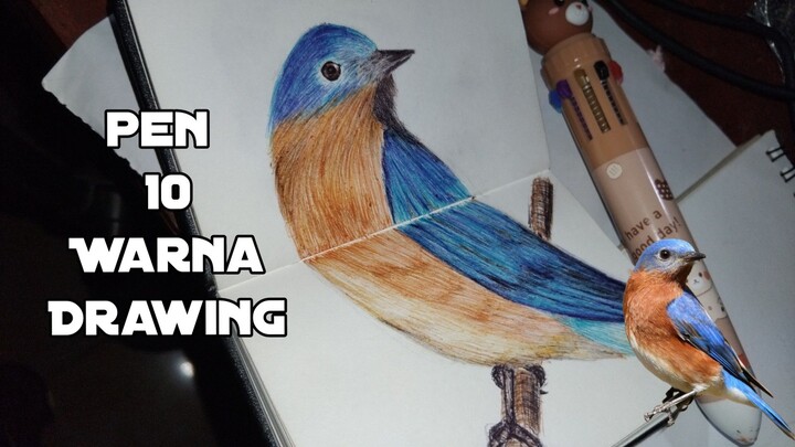 Menggambar Eastern Bluebird (Burung Biru Timur) | Pulpen 10 Warna