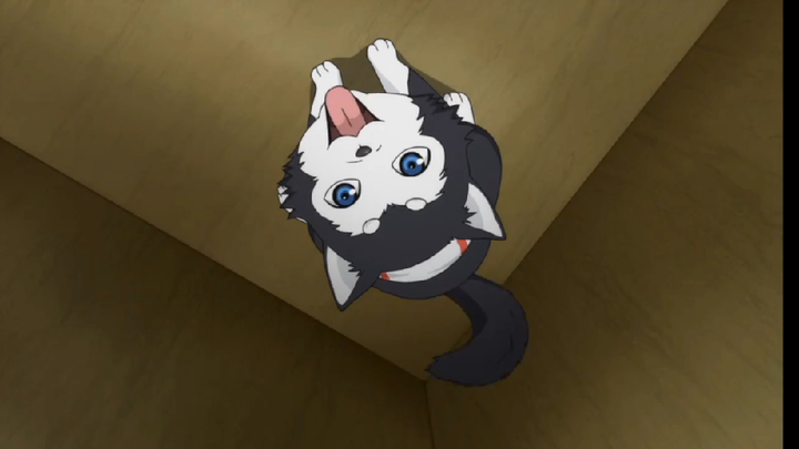 Khi Midorima gặp số 2