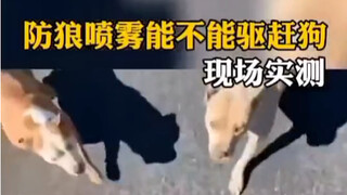 الوعي الأمني أهم من الدفاع، ويجب أن يكون لكل شخص حارسه الشخصي الخاص.