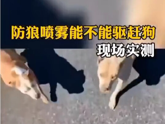 الوعي الأمني أهم من الدفاع، ويجب أن يكون لكل شخص حارسه الشخصي الخاص.