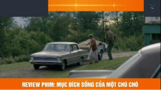 REVIEW PHIM : Mục đích sống của 1 chú chó (p4) #rvphimcuocsong